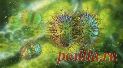 Терапевт Лисицкая: менингит не возникает из-за прогулок без шапки. Врач-терапевт группы компаний BestDoctor Вероника Лисицкая рассказала, что прогулки без шапки не приводят к развитию менингита. Читать далее