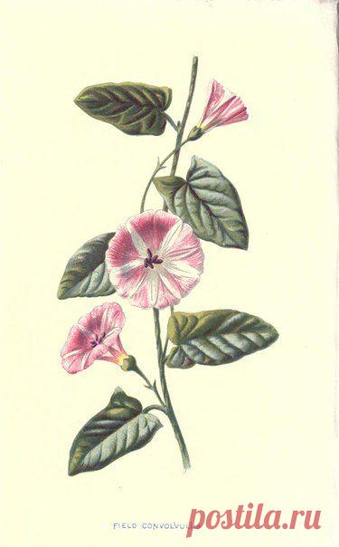 ~ MON PLAISIR ~ Вещи для души. Винтаж,Прованс.