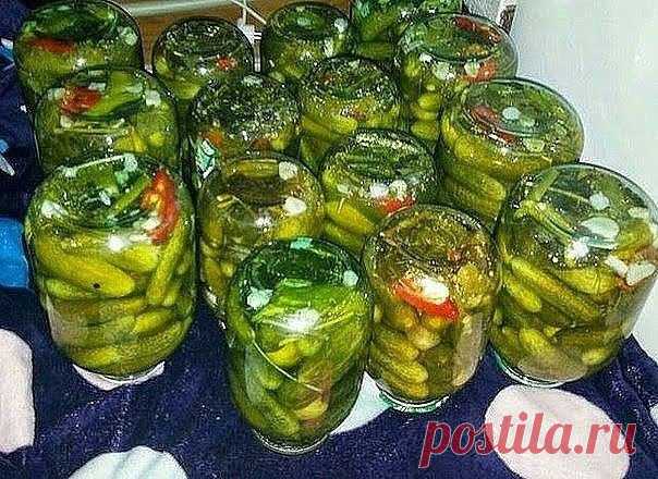 Консервирование огурцов холодной водой | Вкусные рецепты