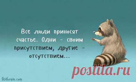 Одной фразой – Фитнес для мозга