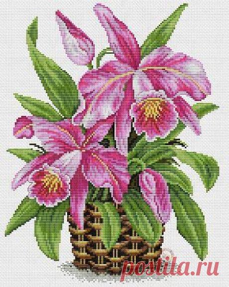 Цветы и бабочки