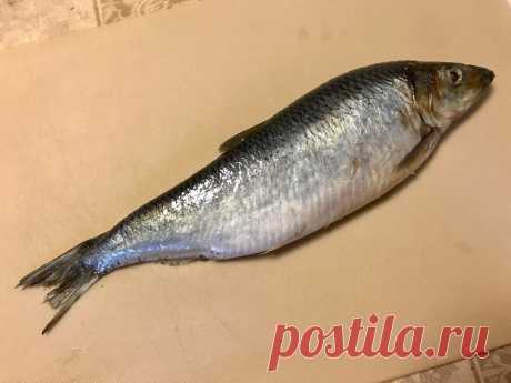 Так вкусно солить сельдь получается только у тещи. Всегда текут слюнки и целой рыбы не хватает | Сам поешь и жену удиви | Яндекс Дзен