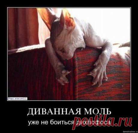 Евгений Заботин - Минусинск, 30 лет на Мой Мир@Mail.ru
