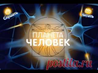 ПЛАНЕТА ЧЕЛОВЕК. КАК УСТРОЕН ЧЕЛОВЕК.
-------------------------------------------------------------------------------
РУБРИКА#Развивающее_обучающее_видио@vk_club_neposed
РУБРИКА#развитие_малышам@vk_club_neposed
Интерактивный развивающий мультфильм даст представление ребенку о строении тела человека и органах чувств наглядно отвечает на вопросы малышей. Мультфильм познакомит ребенка с частями и внутренними органами человека, дать первоначальное представление о работе внутре...