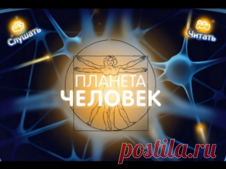 ПЛАНЕТА ЧЕЛОВЕК. КАК УСТРОЕН ЧЕЛОВЕК.
-------------------------------------------------------------------------------
РУБРИКА#Развивающее_обучающее_видио@vk_club_neposed
РУБРИКА#развитие_малышам@vk_club_neposed
Интерактивный развивающий мультфильм даст представление ребенку о строении тела человека и органах чувств наглядно отвечает на вопросы малышей. Мультфильм познакомит ребенка с частями и внутренними органами человека, дать первоначальное представление о работе внутре...