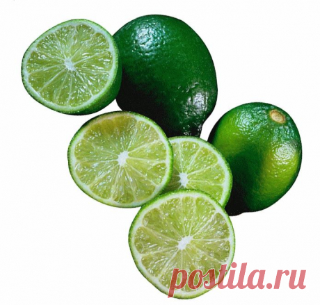 клипарт «дары природы