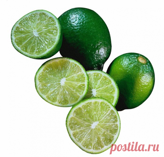 клипарт «дары природы