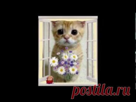 Мульт-поздравления, мульт-открытки, мульт-сюрпризы. ТО "С Днюхой". Заказать мультик в подарок: https://sdnuhoi.ru/