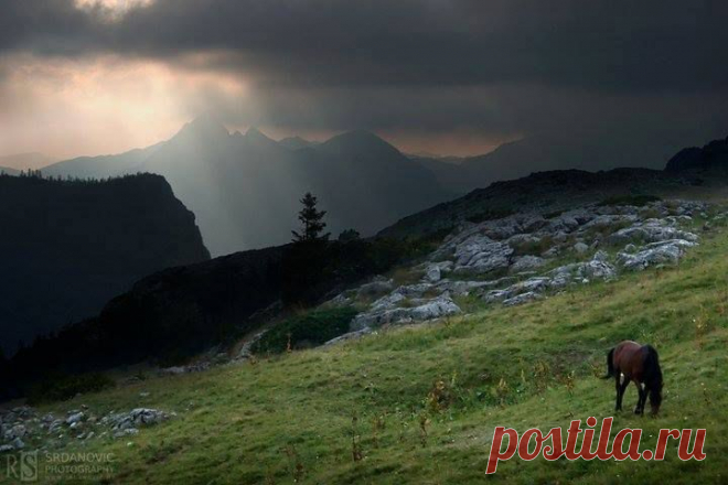 Montenegro Outdoor Team