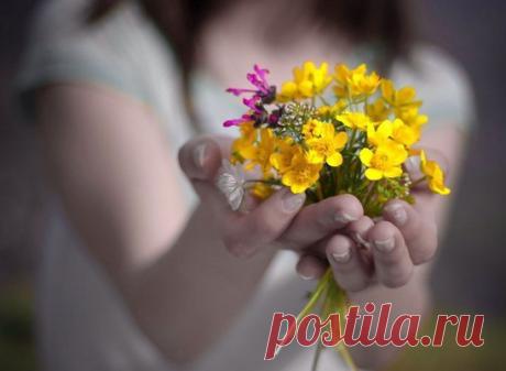 С утра я радоваться буду, причины вовсе не нужны!
Достаточен один глоток весны...