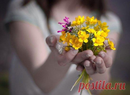 С утра я радоваться буду, причины вовсе не нужны!
Достаточен один глоток весны...