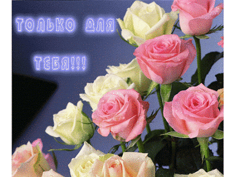 550390237046369.gif (464×350)