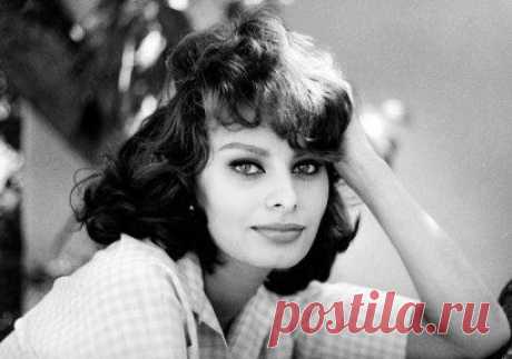 * * * * * * * * * * * *