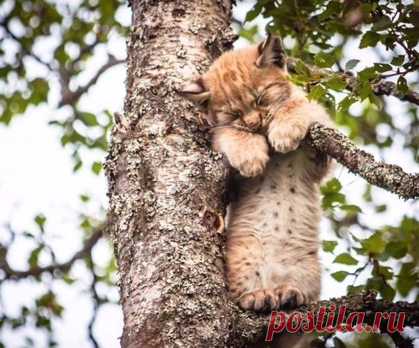 Мой Мир@Mail.Ru
