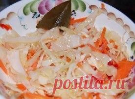 Квасим капусту! - Садоводка