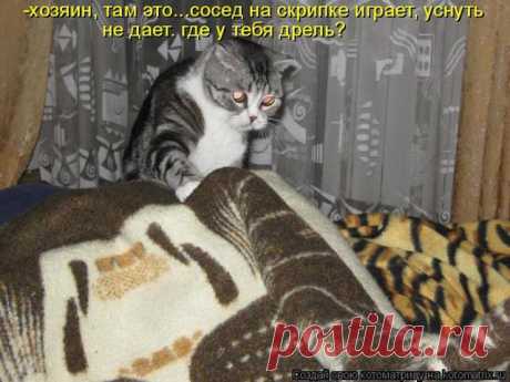 Ни дня без улыбки...