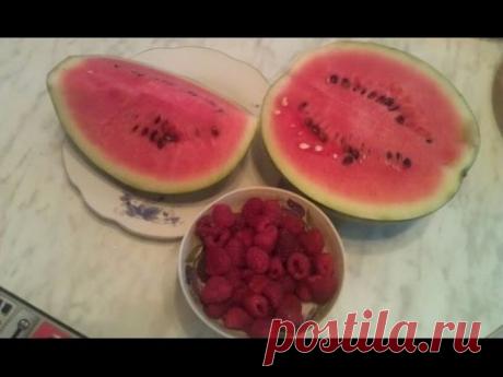 Вырастить арбуз каждому под силу.