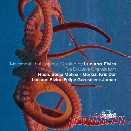 VA – Movement That Inspires: Curated by Luciano Elvira [411SD]