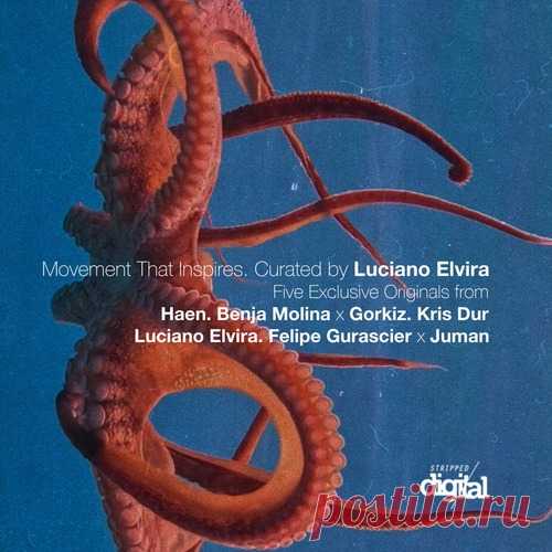 VA – Movement That Inspires: Curated by Luciano Elvira [411SD]