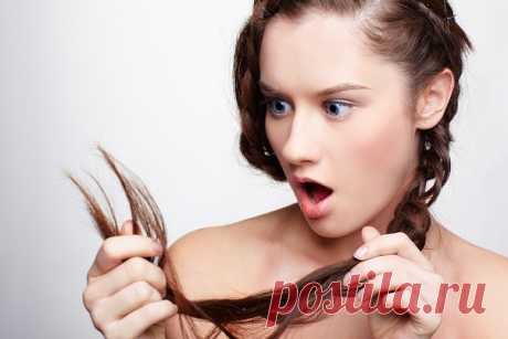 Секущиеся кончики – 12 способов лечения!