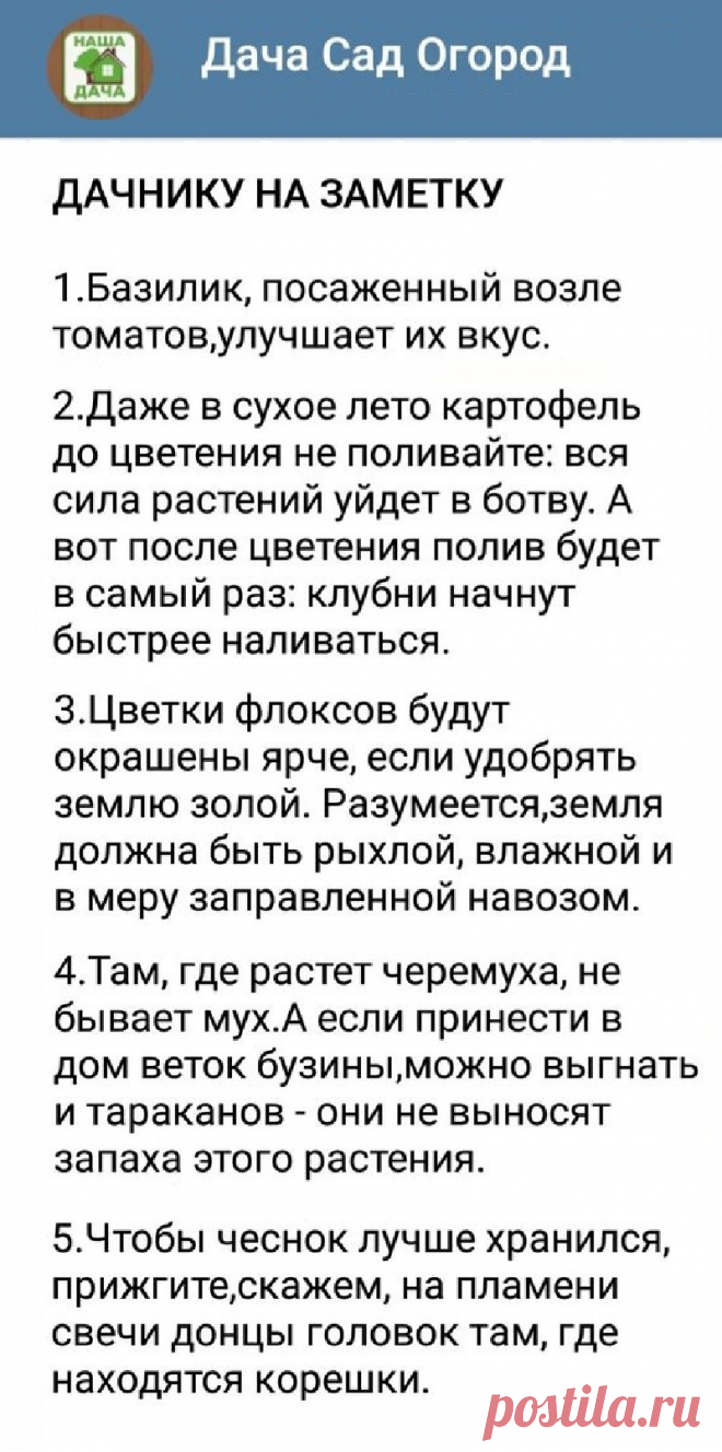 Дачнику на заметку