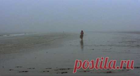 Носферату: Призрак ночи (1979)