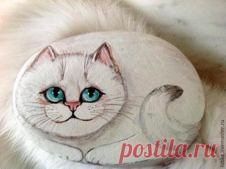 ​Котики на камушках