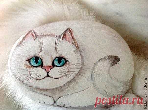 ​Котики на камушках