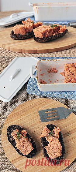 Террин с лососем, соусом Бешамель и томатной пастой - Портал «Домашний»