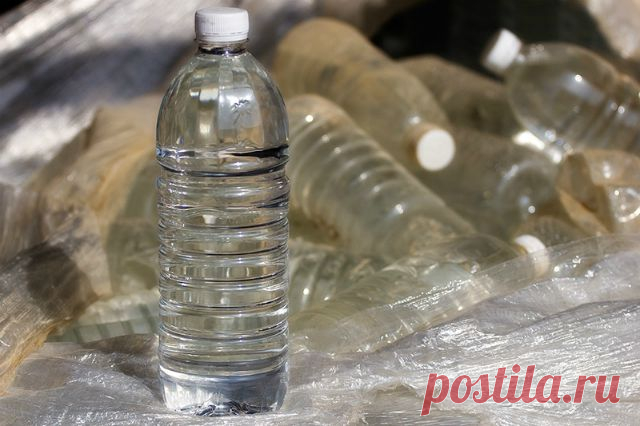 В бутилированной воде нашли опасные для человека соединения