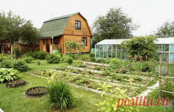 Капиталисты из ВЭФ хотят запретить выращивание овощей и фруктов на приусадебных участках | Первый Новостной | Дзен