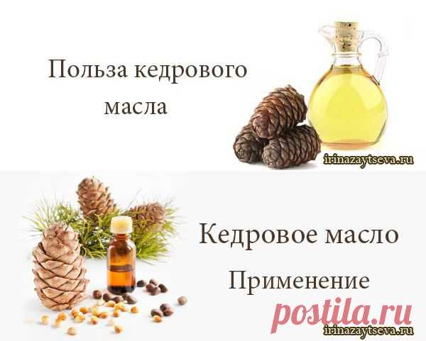Масло кедровое. Масло живицы кедровой. Польза и вред. Применение