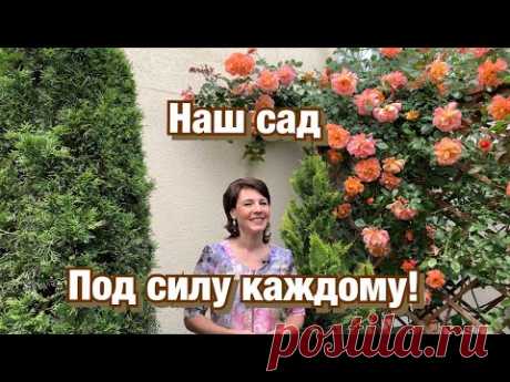 День рождения канала ПОД СИЛУ КАЖДОМУ! Наш сад!