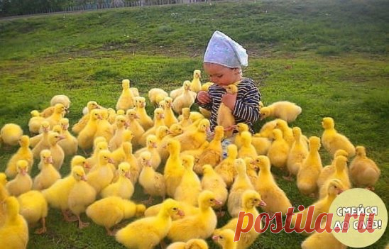 Простая деревенская красота.