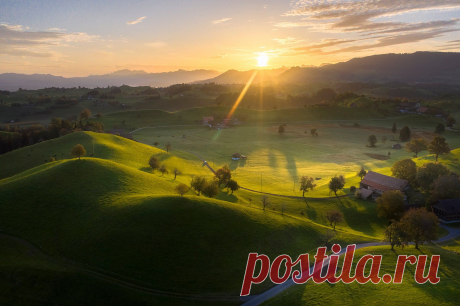 Бархат. Фотограф Андрей Базанов