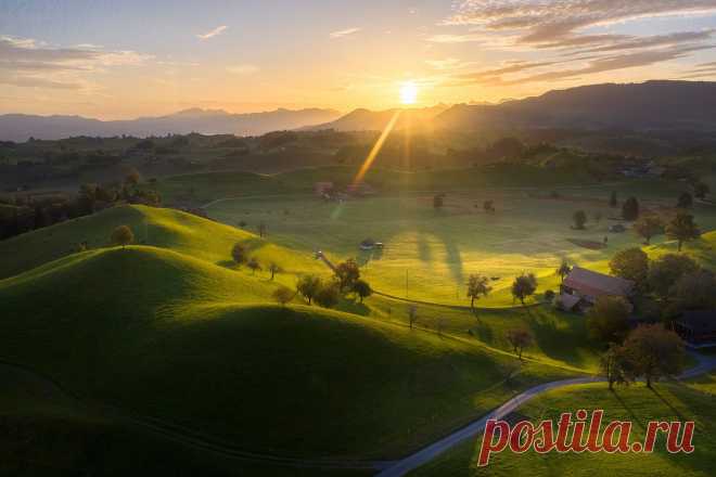 Бархат. Фотограф Андрей Базанов