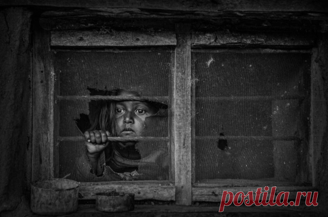 18 ч/б фото, каждая из которых заслуживает внимание и дарит эмоции | Российское фото | Яндекс Дзен