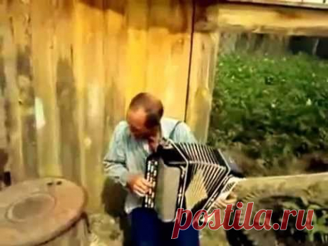 РОЗА БЕЛАЯ -Шедевр. исполняет Сергей.Мороков. - YouTube