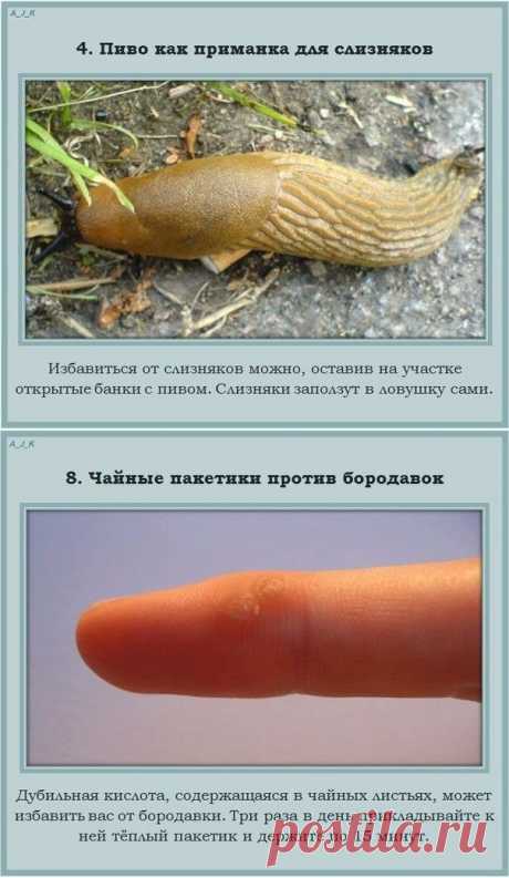 Непривычное применение привычных вещей. | Город женщин