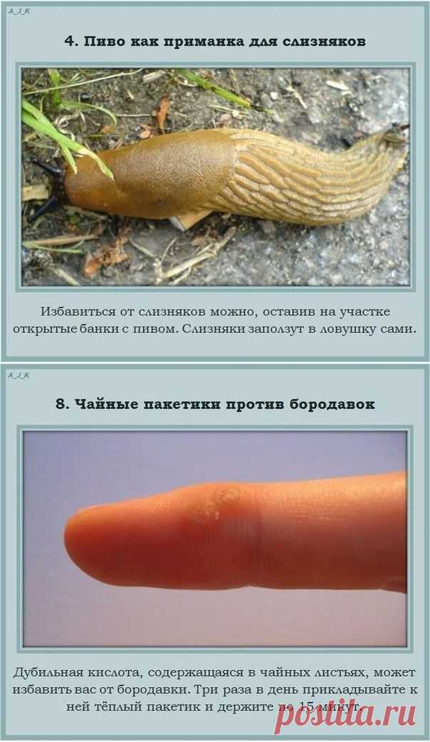Непривычное применение привычных вещей. | Город женщин