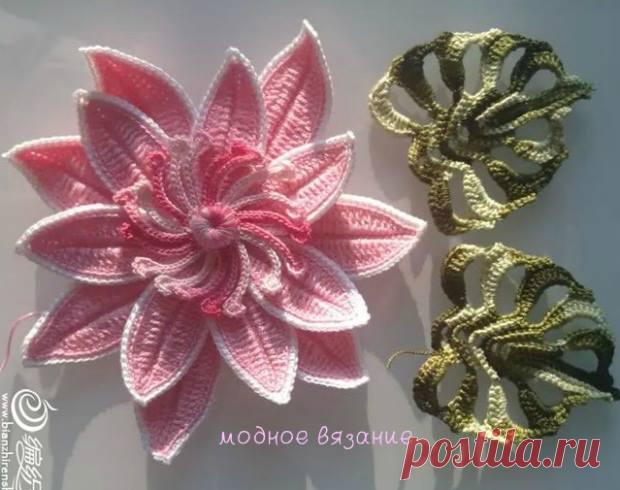 Ирландское кружево - Хроника | Facebook