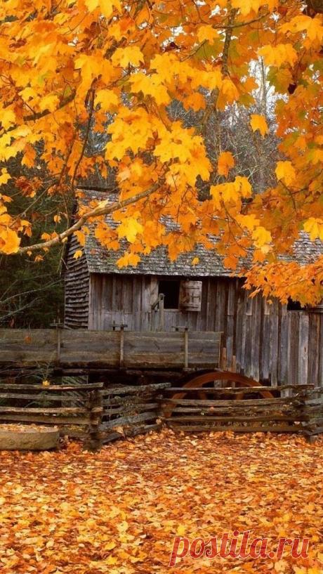 Magicofthe Seasons приколол(а) это к доске I Love Autumn