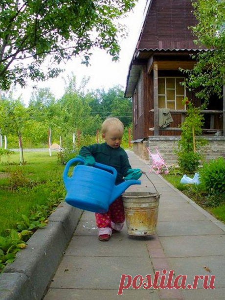 В гостях у бабушки — Садоводка