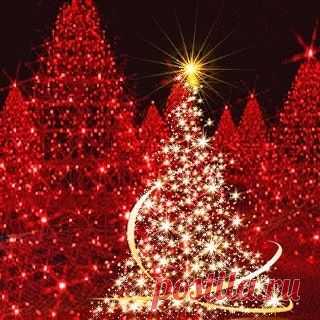 MERRY CHRISTMAS !