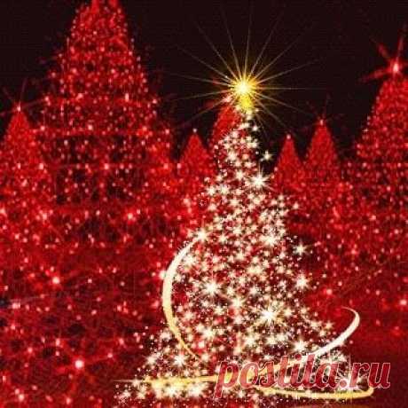 MERRY CHRISTMAS !