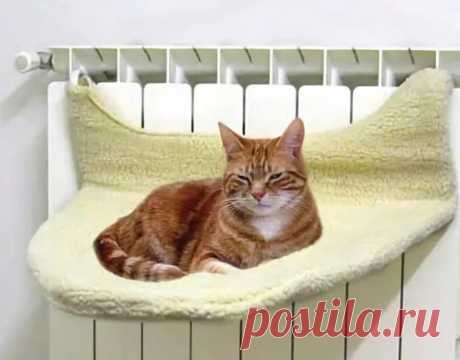 Лежанка для кота над батареей / Питомцы