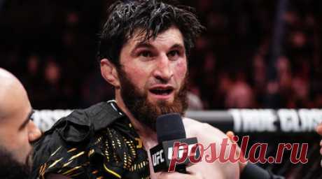 Анкалаев: мне предложили подраться с Перейрой на UFC 317. Российский боец Магомед Анкалаев высказался о реванше с бразильцем Алексом Перейрой на турнире UFC 317. Читать далее