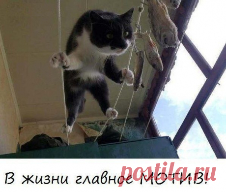 Стена | ВКонтакте