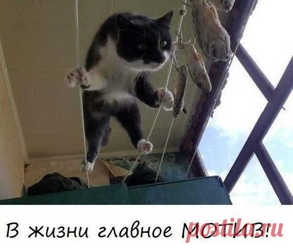 Стена | ВКонтакте