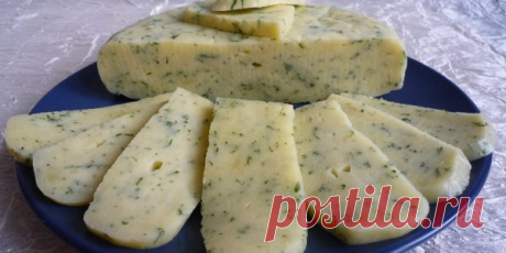Сыр из творога в домашних условиях: рецепты изготовления